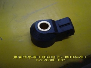 ������ ��������� Great Wall Wingle (491qe ������)